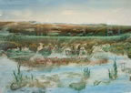 January Landscape - 590  x 475mm  Michael Bossom