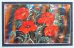 A Blaze of Poppies  16" x 12"  Anne McFarlane