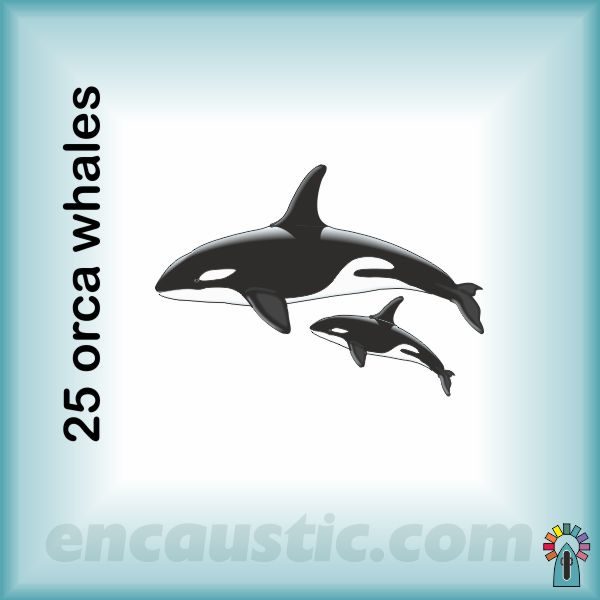 99550025KW_orca_killer_whales_rubber_stamp_600